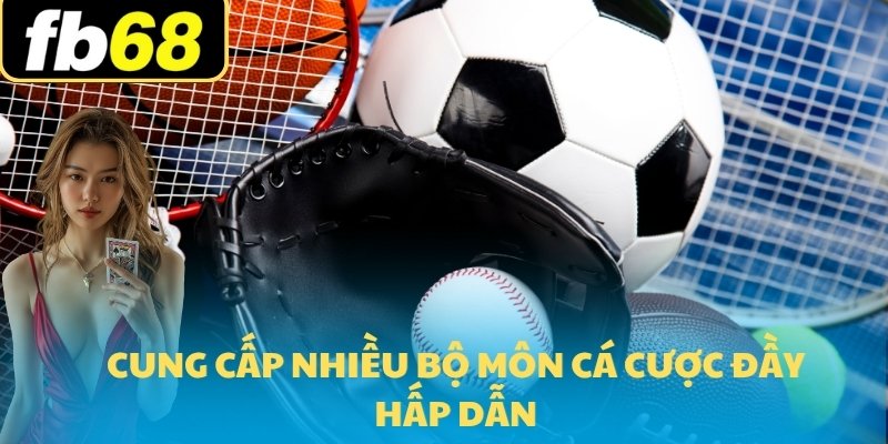 FB68 Sports 3 Cung cấp nhiều bộ môn cá cược đầy hấp dẫn