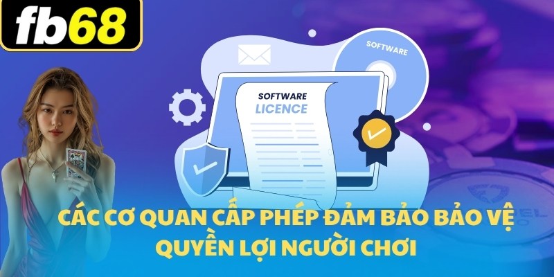 Giấy Phép Hoạt Động 2 Các cơ quan cấp phép đảm bảo bảo vệ quyền lợi người chơi